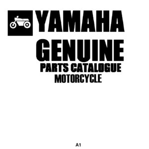 Yamaha XV920K Motorcycle Cylinder Parts Manual - Instant PDF